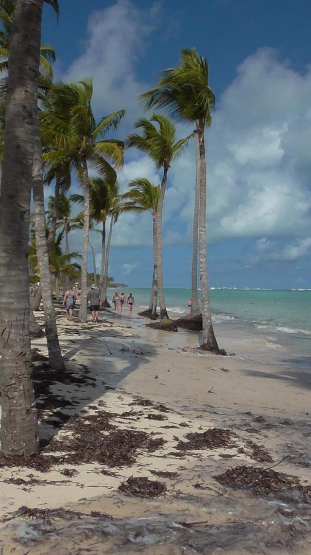 25749328 - Dominikana Dominikana w styczniu 2016