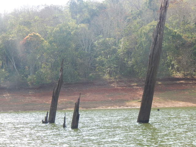 Dscn0899