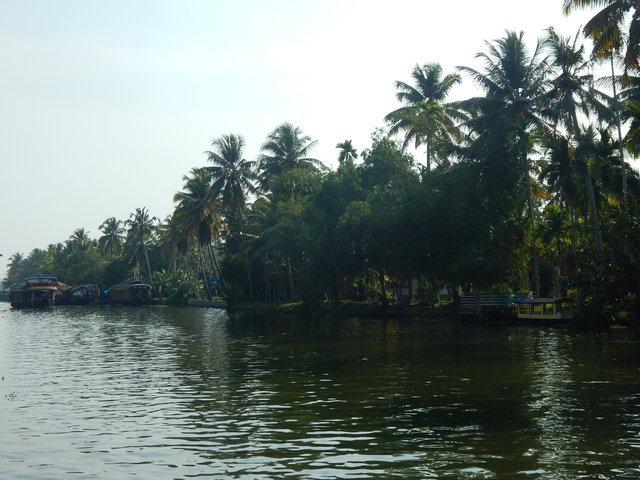 Dscn1240