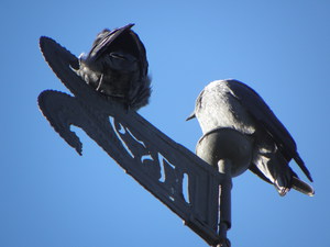 Uppsala