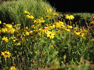 Ogród Botaniczny