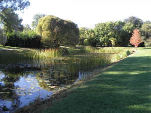 Ogród Botaniczny