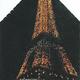 Bilet - Wieża Eiffela