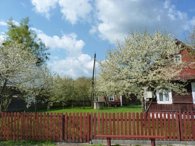 P1060844