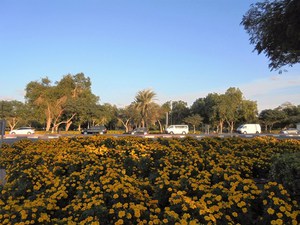 Dubaj - Creek Park