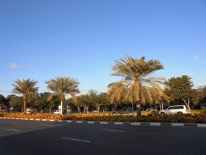 Dubaj - Creek Park