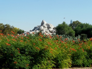 Dubaj - Creek Park