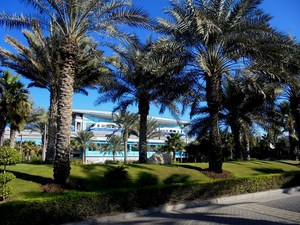 Dubaj - Palm Jumeirah