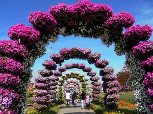 Dubaj - Miracle Garden