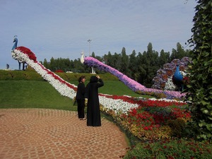 Dubaj - Miracle Garden 