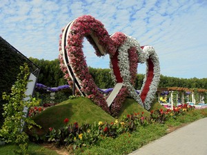 Dubaj - Miracle Garden