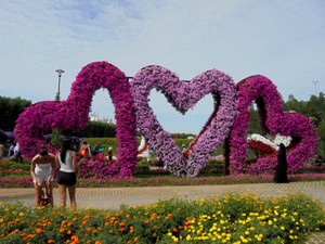 Dubaj - Miracle Garden