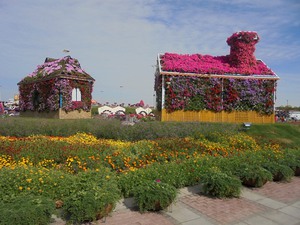 Dubaj - Miracle Garden