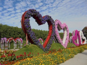 Dubaj - Miracle Garden