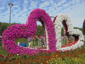 Dubaj - Miracle Garden