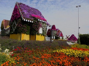 Dubaj - Miracle Garden