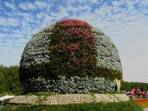 Dubaj - Miracle Garden