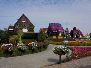 Dubaj - Miracle Garden