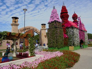 Dubaj - Miracle Garden