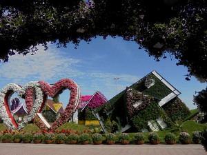 Dubaj - Miracle Garden