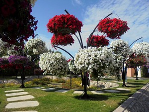 Dubaj - Miracle Garden