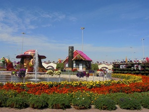 Dubaj - Miracle Garden