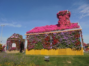 Dubaj - Miracle Garden