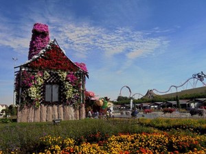 Dubaj - Miracle Garden