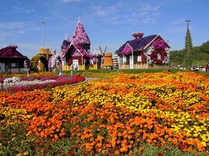 Dubaj - Miracle Garden