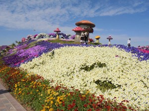 Dubaj - Miracle Garden