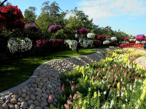 Dubaj - Miracle Garden