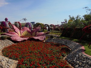 Dubaj - Miracle Garden