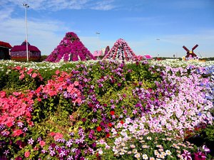 Dubaj - Miracle Garden