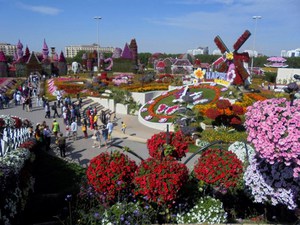 Dubaj - Miracle Garden