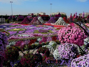 Dubaj - Miracle Garden