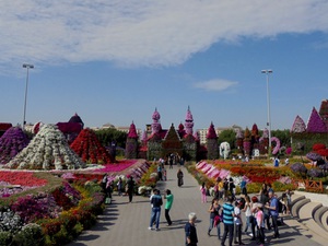 Dubaj - Miracle Garden