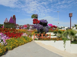 Dubaj - Miracle Garden