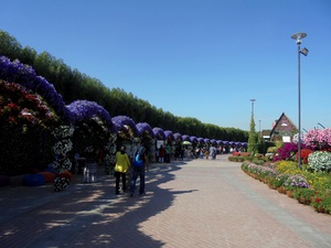 Dubaj - Miracle Garden