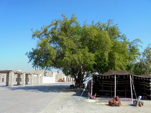 Dubaj - Al Shindagha