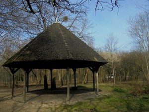 Paryż - Przedwiośnie