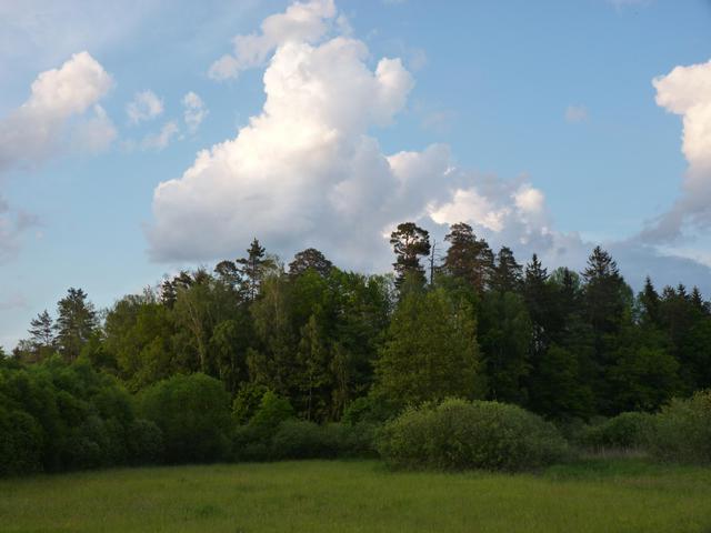 P1080939