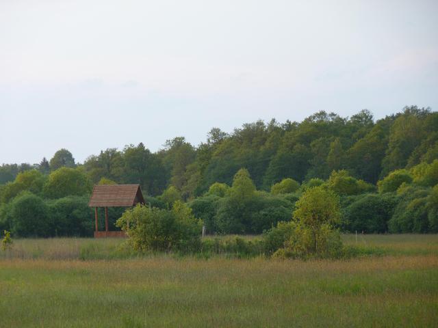 P1080940