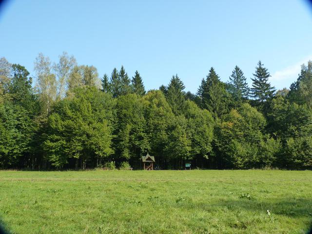 P1060589