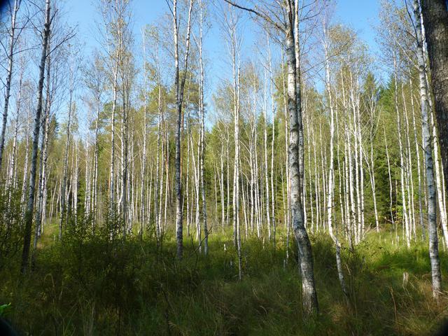 P1060595