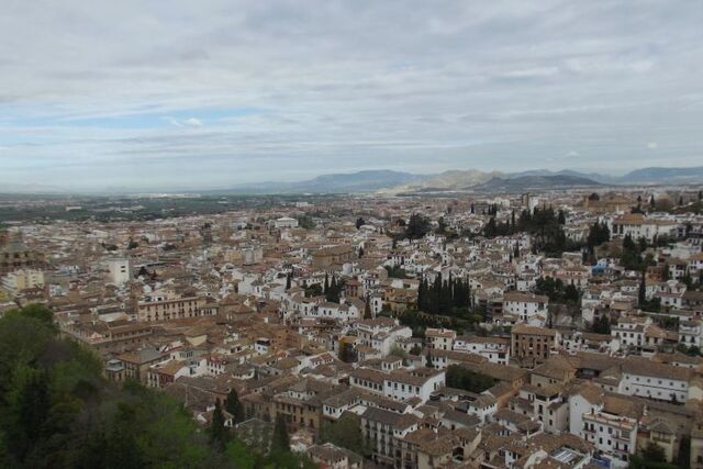 25782362 - Granada Granaty u stóp Alhambry