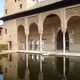 25782364 - Granada Granaty u stóp Alhambry