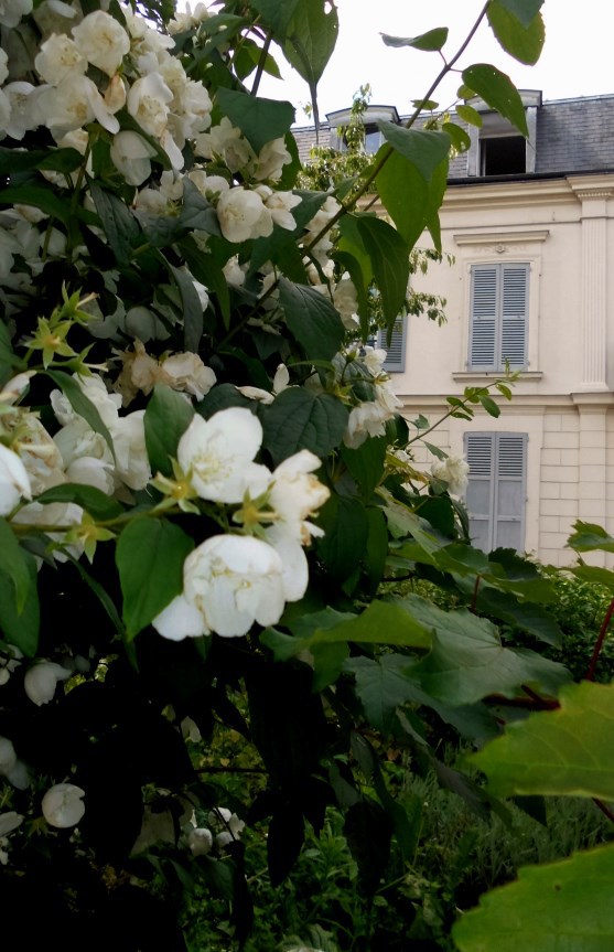 Argenteuil