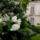 Argenteuil