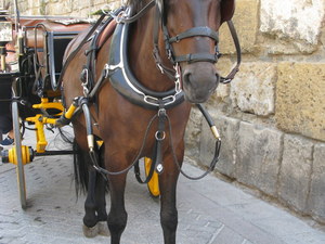 Sewilla (Sevilla)