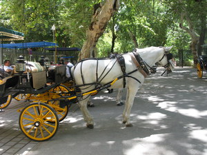 Sewilla (Sevilla)